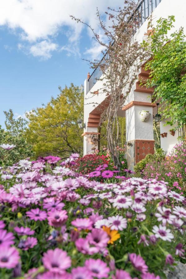 Holiday home Cactus El Gastor